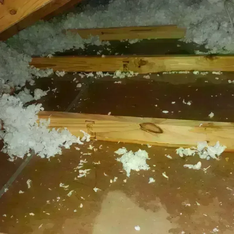 Attic Water Damage in Colfax, CA