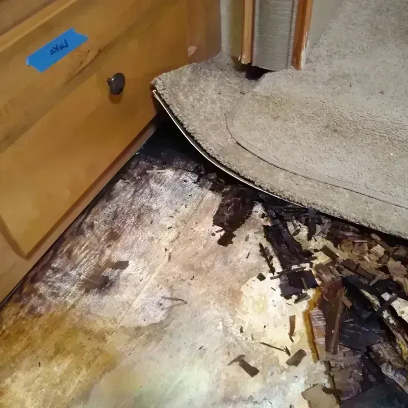 Wood Floor Water Damage in Colfax, CA